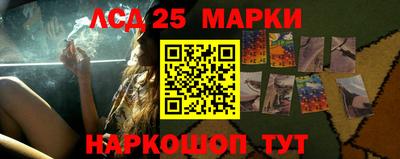 гашик Донской
