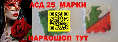 гашик Донской