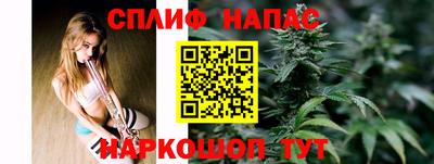 гашик Донской