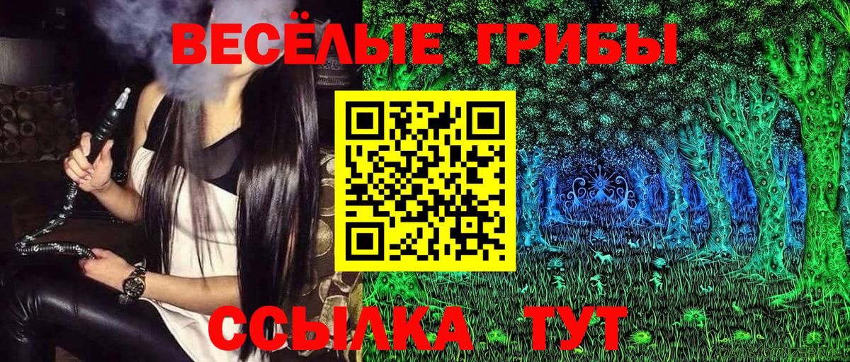 Каспийск  цена   Вход с VPN  Псилоцибиновые грибы Cubensis 